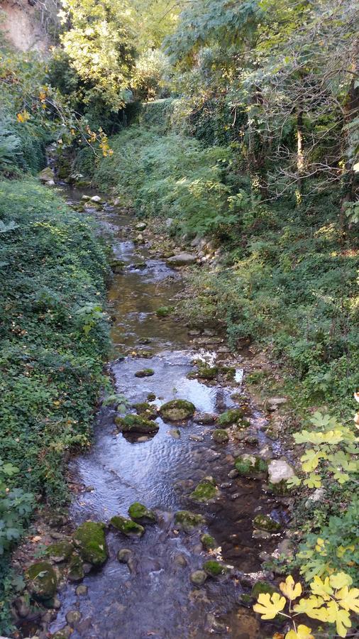 Moulin Des Eaux Vives Otel Grasse Dış mekan fotoğraf